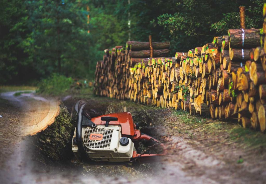 Timber-Logging 